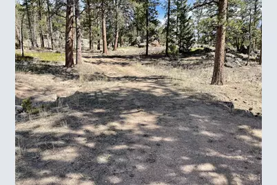 4347 N County Road 73C, Red Feather Lakes, CO 80545 - Photo 28