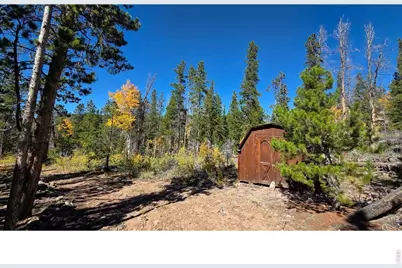 1367 Osage Trl, Red Feather Lakes, CO 80545 - Photo 4