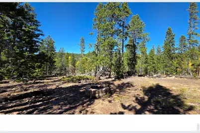 1367 Osage Trl, Red Feather Lakes, CO 80545 - Photo 1