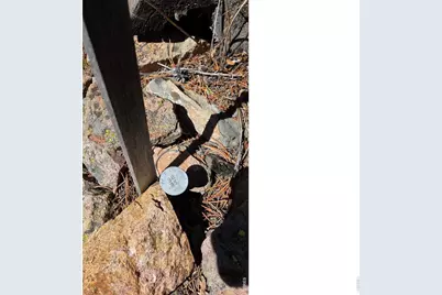 1367 Osage Trl, Red Feather Lakes, CO 80545 - Photo 12