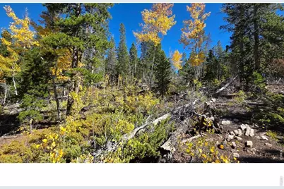 1367 Osage Trl, Red Feather Lakes, CO 80545 - Photo 10