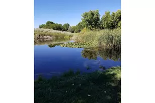 4009 Sunstone Way, Fort Collins, CO 80525 - Photo 42