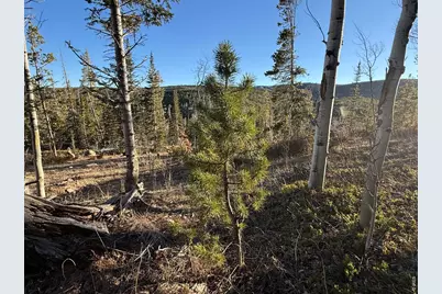 227 Micmac Dr, Red Feather Lakes, CO 80545 - Photo 8