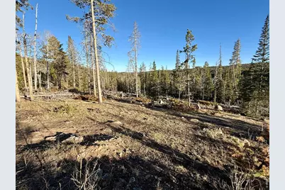 227 Micmac Dr, Red Feather Lakes, CO 80545 - Photo 6