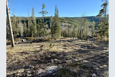 227 Micmac Dr, Red Feather Lakes, CO 80545 - Photo 4