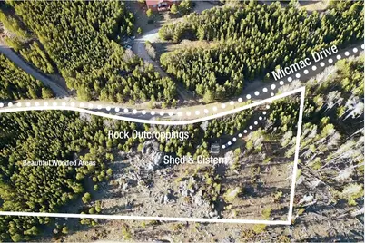 227 Micmac Dr, Red Feather Lakes, CO 80545 - Photo 2