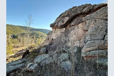 227 Micmac Dr, Red Feather Lakes, CO 80545 - Photo 10