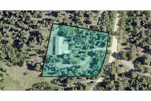 226 Pinon Way, Nederland, CO 80466 - Photo 10