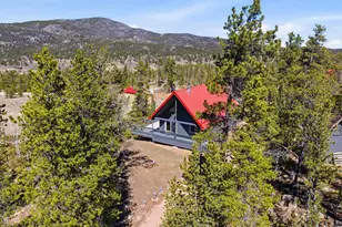 5515 N County Rd 73C, Red Feather Lakes, CO 80545 - Photo 44