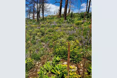 957 Stringtown Gulch Rd, Bellvue, CO 80512 - Photo 1