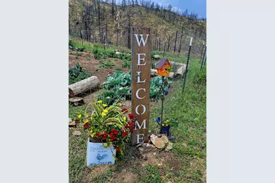 957 Stringtown Gulch Rd, Bellvue, CO 80512 - Photo 12