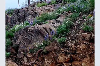 957 Stringtown Gulch Rd, Bellvue, CO 80512 - Photo 6