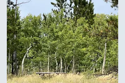 24688 W County Road 74E, Red Feather Lakes, CO 80545 - Photo 28