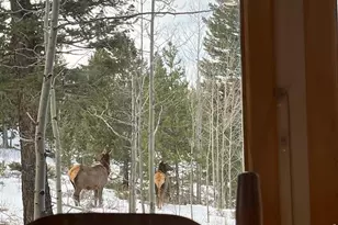 1856 Ridge Rd, Nederland, CO 80466 - Photo 42