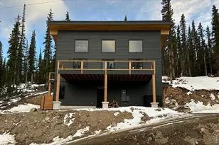 950 Gold Pan Ln, Fairplay, CO 80440 - Photo 2