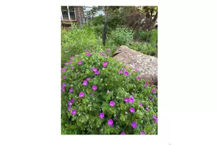 410 West St, Louisville, CO 80027 - Photo 42