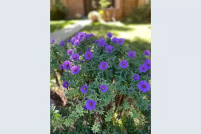 1123 Fordham St, Longmont, CO 80503 - Photo 36