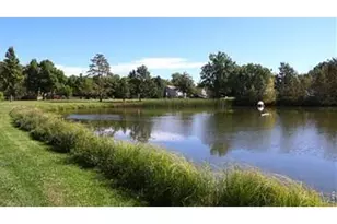 4526 Hibiscus St, Fort Collins, CO 80526 - Photo 36