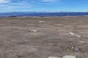 223 Timber Dr, Livermore, CO 80536 - Photo 42