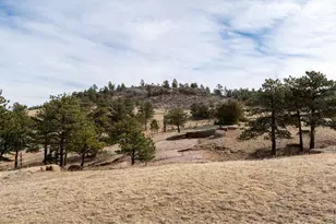 223 Timber Dr, Livermore, CO 80536 - Photo 36