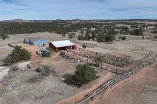 223 Timber Dr, Livermore, CO 80536 - Photo 34