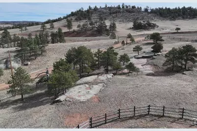 223 Timber Dr, Livermore, CO 80536 - Photo 40