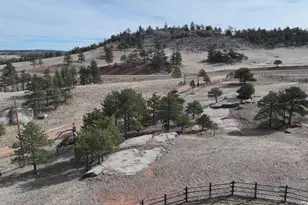 223 Timber Dr, Livermore, CO 80536 - Photo 40