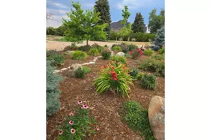 200 Mulligan Lake Dr, Mead, CO 80542 - Photo 34