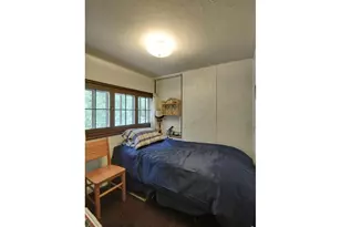 290 River Fork Rd, Drake, CO 80515 - Photo 6