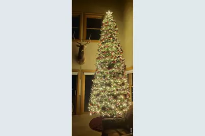2619 Ridge Ln, Estes Park, CO 80517 - Photo 48