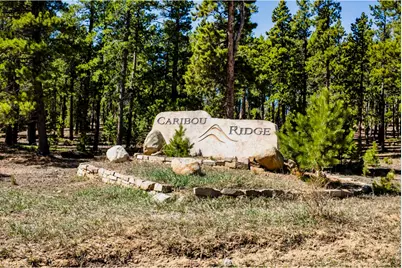 11 Juneau Cir, Nederland, CO 80466 - Photo 42