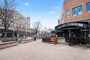 415 S Howes St #910 N, Fort Collins, CO 80521 - Photo 38