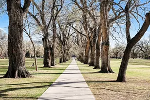 415 S Howes St #910 N, Fort Collins, CO 80521 - Photo 6