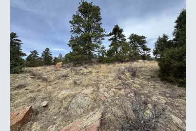 565 Le Conte Dr, Livermore, CO 80536 - Photo 18