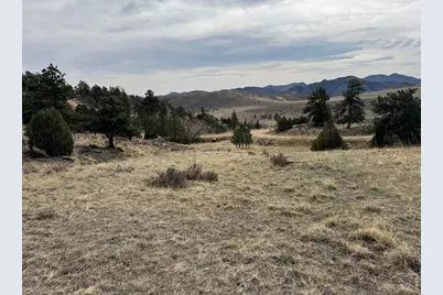 565 Le Conte Dr, Livermore, CO 80536 - Photo 14