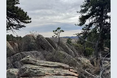 565 Le Conte Dr, Livermore, CO 80536 - Photo 12