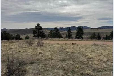 565 Le Conte Dr, Livermore, CO 80536 - Photo 6