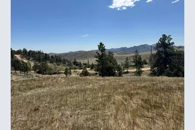 565 Le Conte Dr, Livermore, CO 80536 - Photo 24