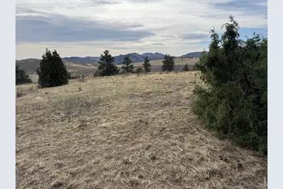 565 Le Conte Dr, Livermore, CO 80536 - Photo 8