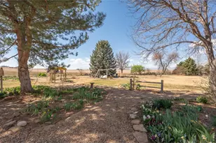 1558 County Road 20 1/2, Longmont, CO 80504 - Photo 38