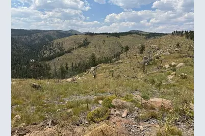 865 Redstone Dr, Bellvue, CO 80512 - Photo 18