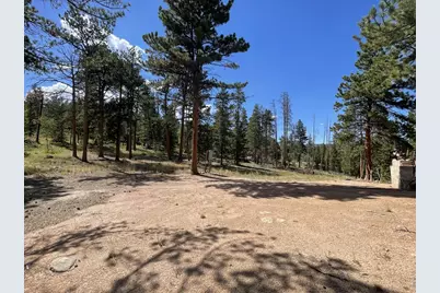 34 Shawnee Rd, Red Feather Lakes, CO 80545 - Photo 6