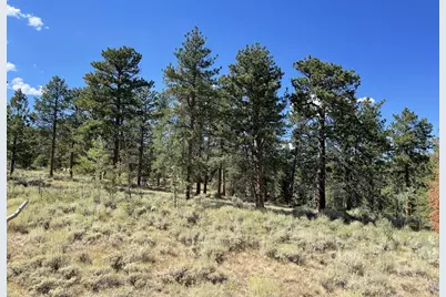 34 Shawnee Rd, Red Feather Lakes, CO 80545 - Photo 22