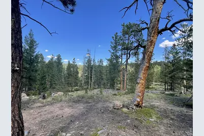 34 Shawnee Rd, Red Feather Lakes, CO 80545 - Photo 10