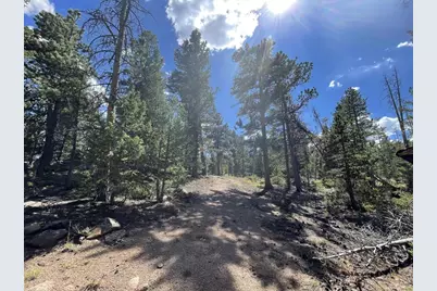 34 Shawnee Rd, Red Feather Lakes, CO 80545 - Photo 16