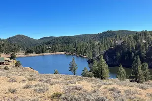 141 Tami Rd, Red Feather Lakes, CO 80545 - Photo 42