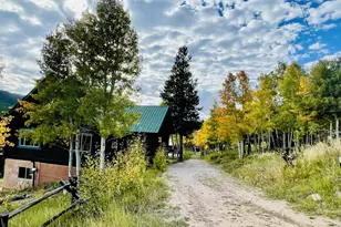 3706 Ottawa Way, Red Feather Lakes, CO 80545 - Photo 6