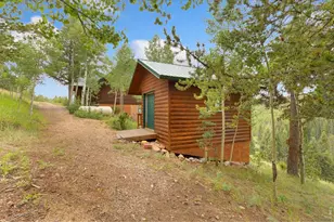 3706 Ottawa Way, Red Feather Lakes, CO 80545 - Photo 4