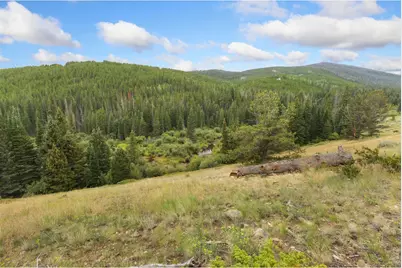 3706 Ottawa Way, Red Feather Lakes, CO 80545 - Photo 32