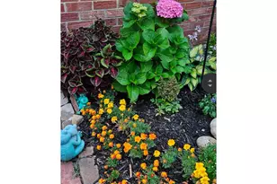 549 Arrowhead Dr, Loveland, CO 80537 - Photo 44